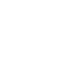 Stats Icon