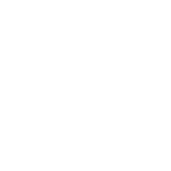 Stats Icon