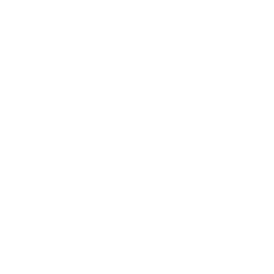 Stats Icon